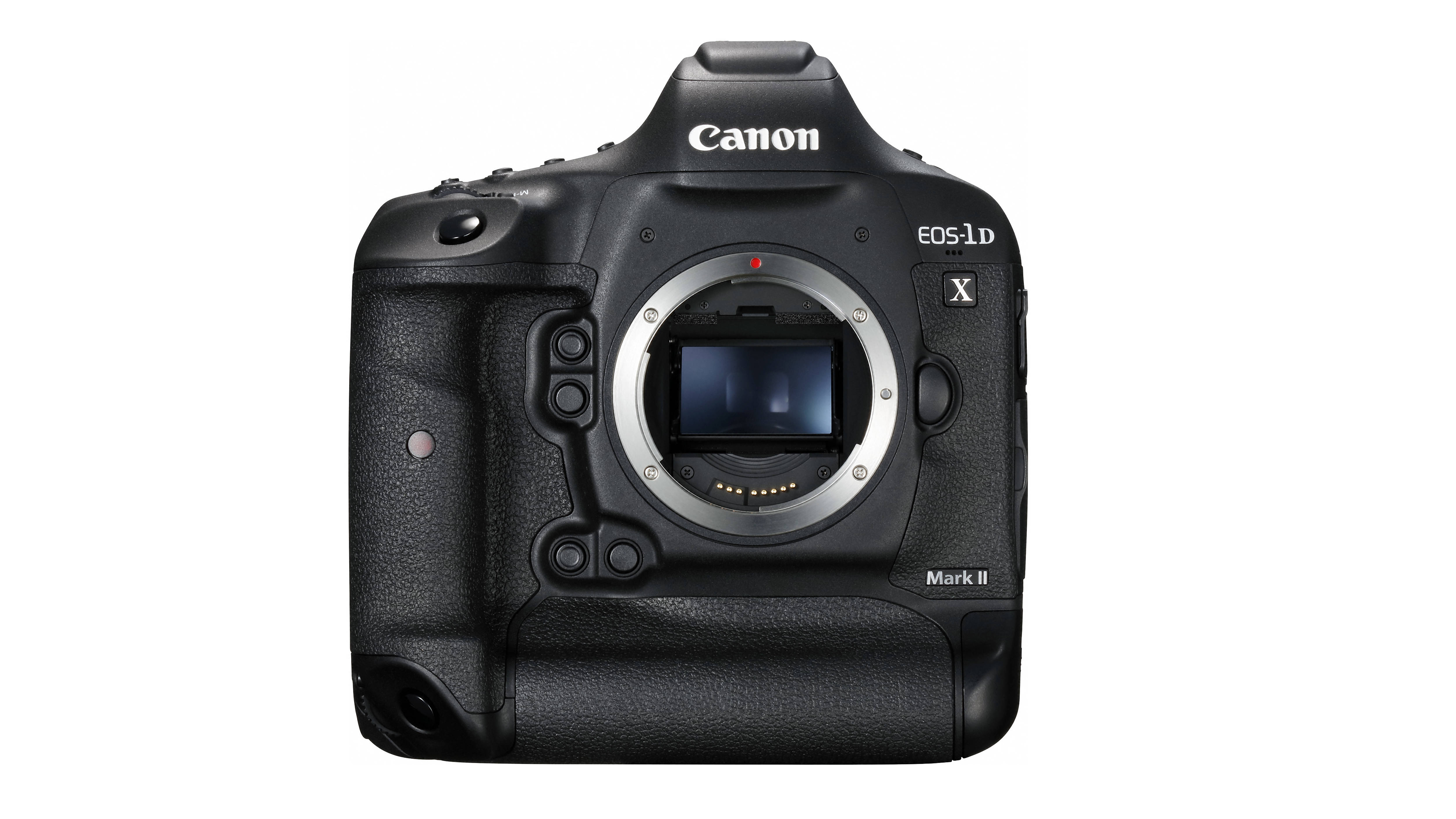 canon body serial number lookup
